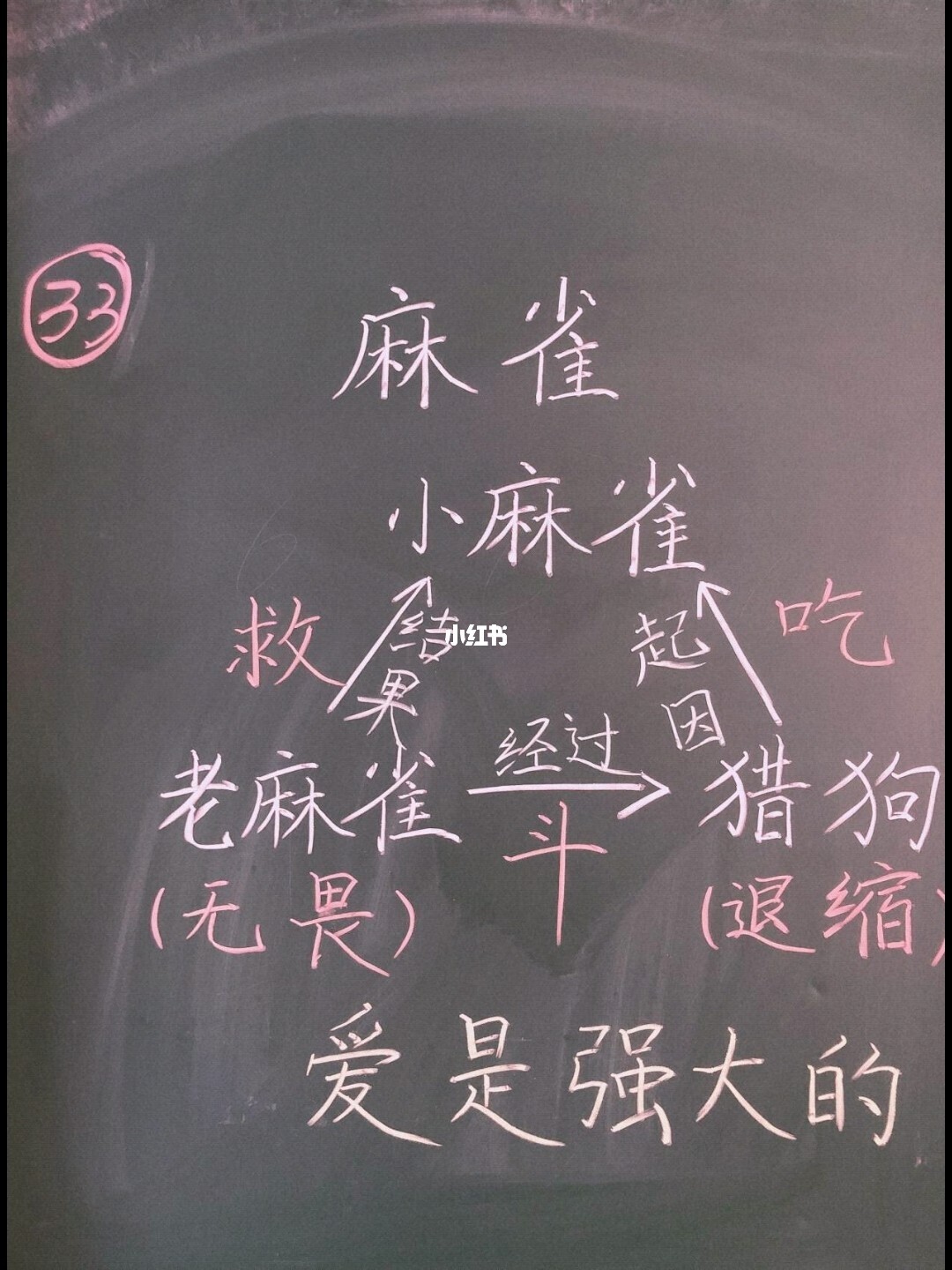 《麻雀》说板书设计