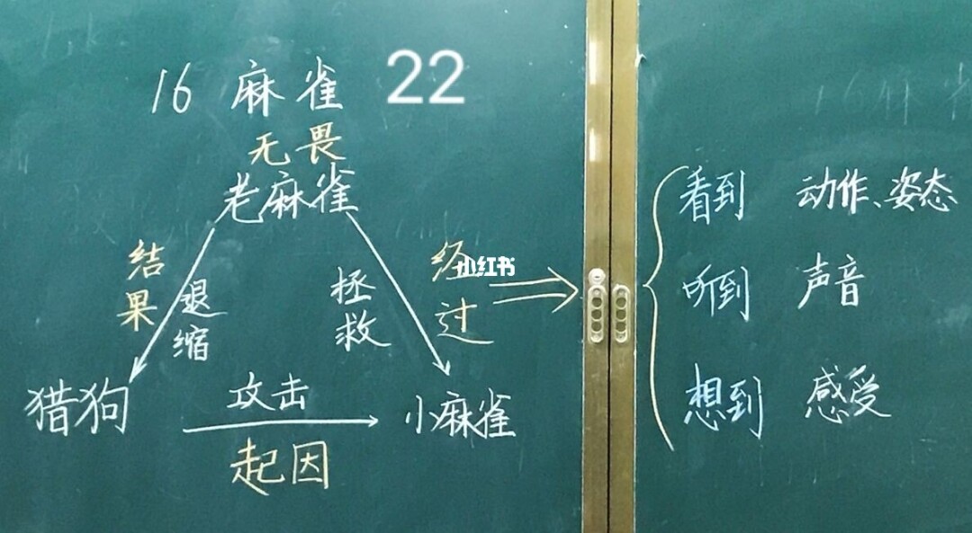 《麻雀》说板书设计