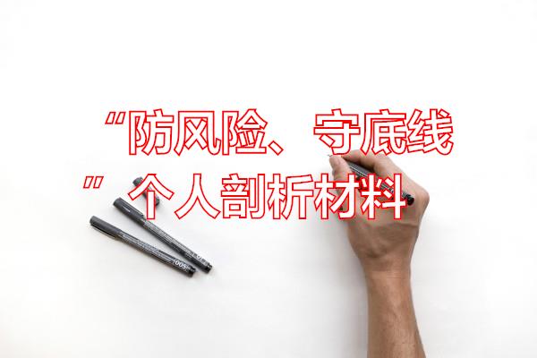 “防风险、守底线”个人剖析材料专题范文
