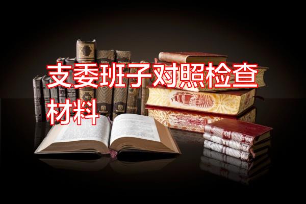 支委班子对照检查材料专题范文