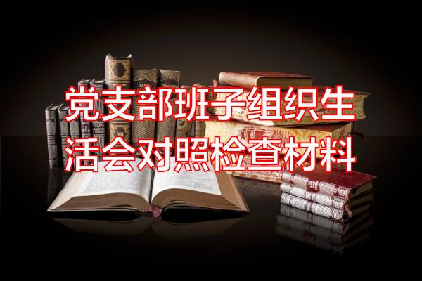 党支部班子组织生活会对照检查材料专题范文