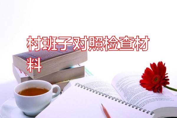 村班子对照检查材料专题范文