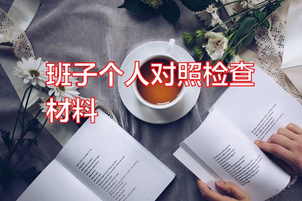 班子个人对照检查材料专题范文