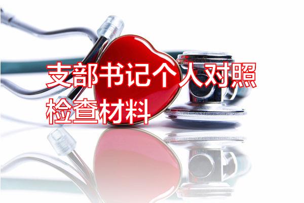 支部书记个人对照检查材料专题范文