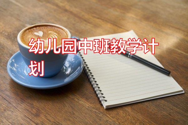 幼儿园中班教学计划专题范文