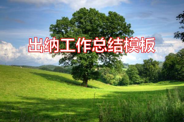 出纳工作总结模板专题范文