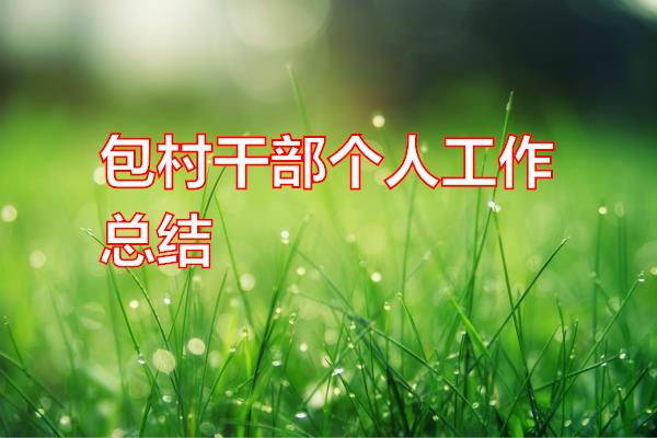 包村干部个人工作总结专题范文