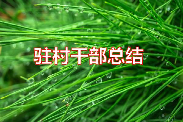 驻村干部总结专题范文