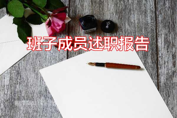 班子成员述职报告专题范文