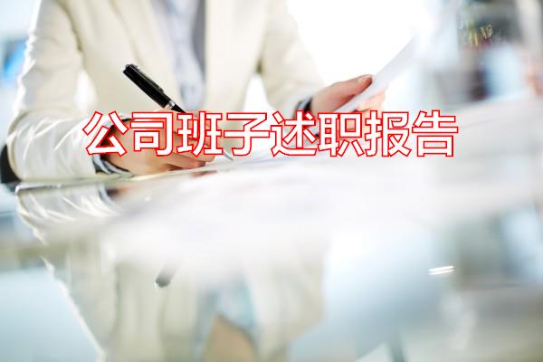 公司班子述职报告专题范文