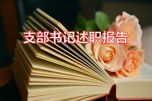 支部书记述职报告专题范文