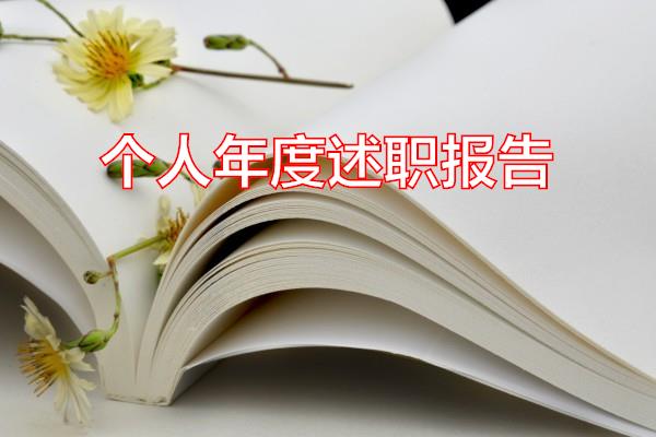 个人年度述职报告专题范文