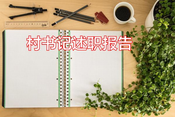 村书记述职报告专题范文
