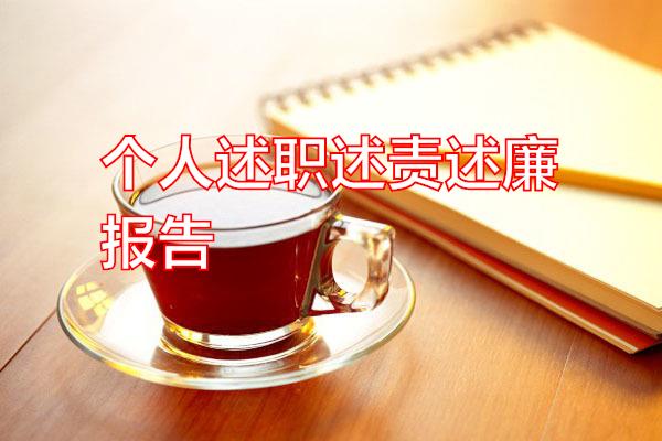 个人述职述责述廉报告专题范文