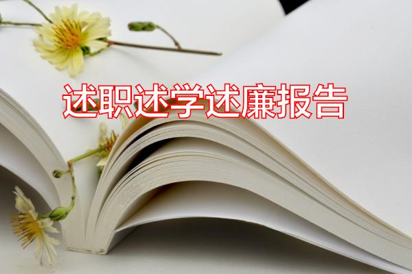 述职述学述廉报告专题范文