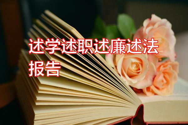 述学述职述廉述法报告专题范文
