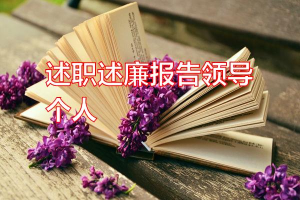 述职述廉报告领导个人专题范文