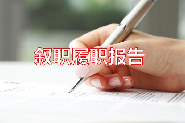 叙职履职报告专题范文