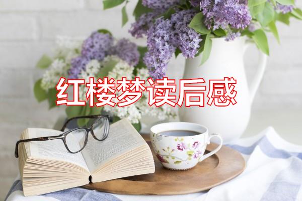 红楼梦读后感专题范文