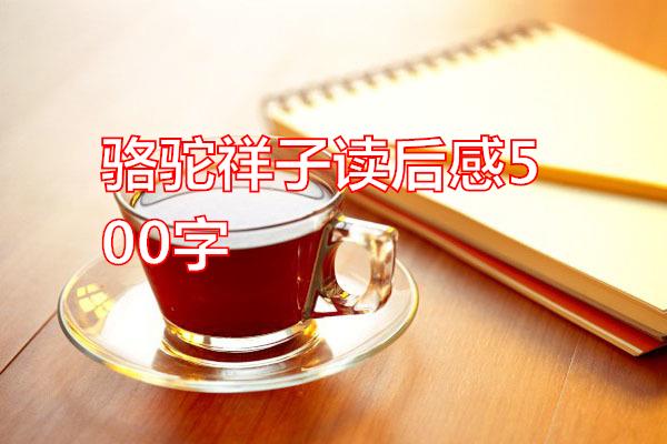 骆驼祥子读后感500字专题范文