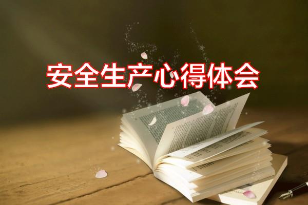 安全生产心得体会专题范文