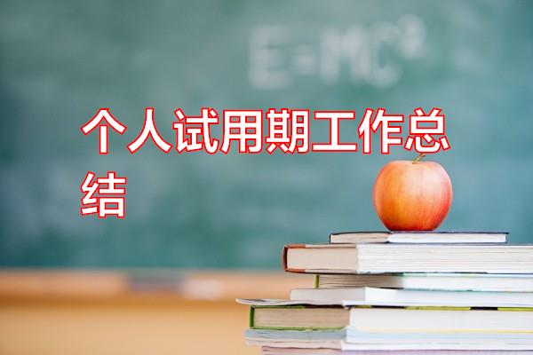 个人试用期工作总结专题范文