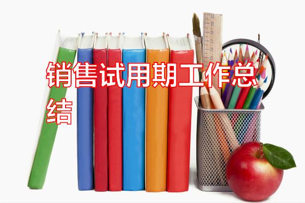 销售试用期工作总结专题范文