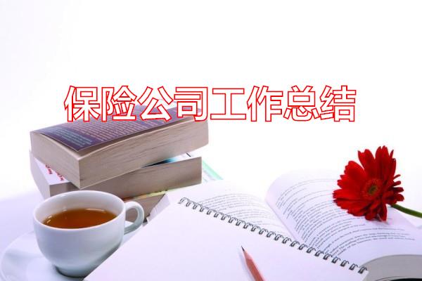 保险公司工作总结专题范文