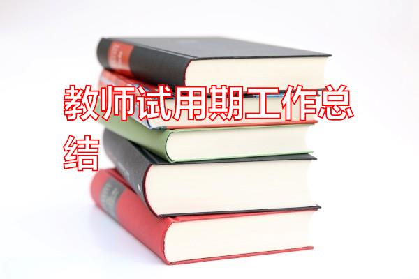 教师试用期工作总结专题范文