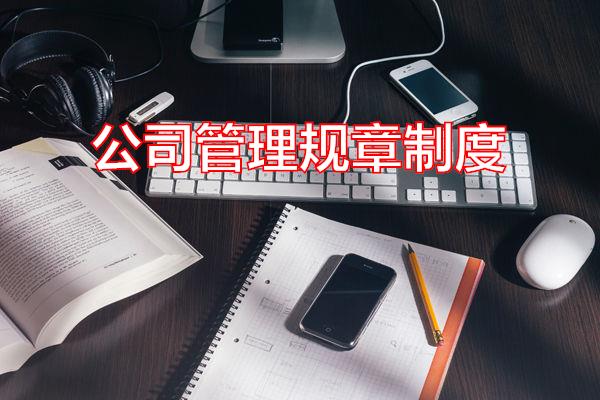 公司管理规章制度专题范文