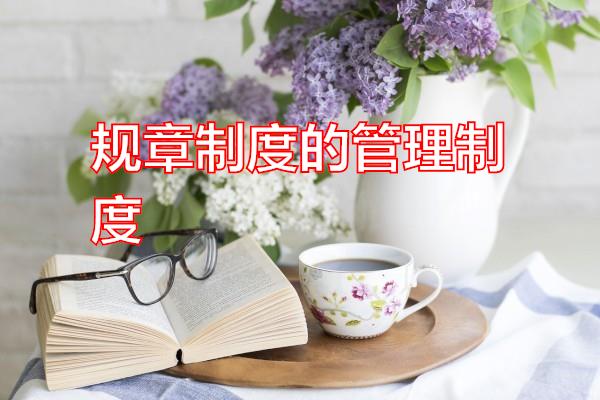 规章制度的管理制度专题范文
