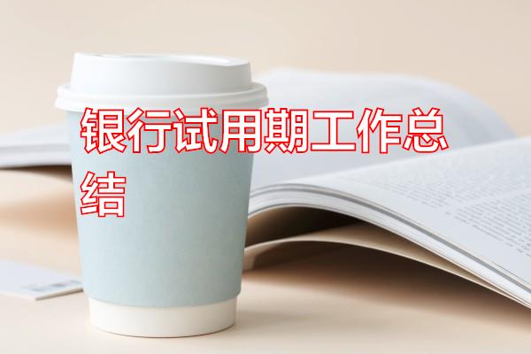 银行试用期工作总结专题范文