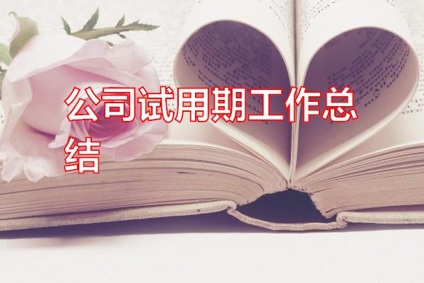 公司试用期工作总结专题范文