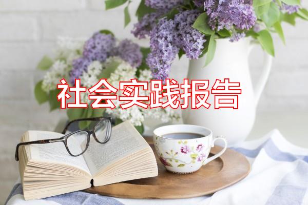 社会实践报告专题范文