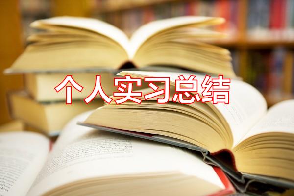 个人实习总结专题范文