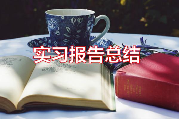 实习报告总结专题范文
