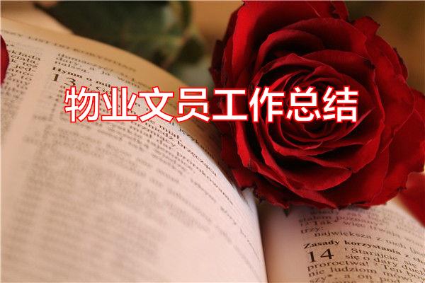 物业文员工作总结专题范文