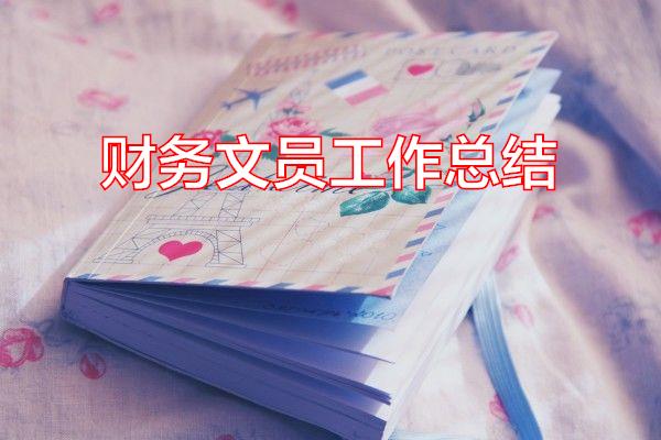 财务文员工作总结专题范文