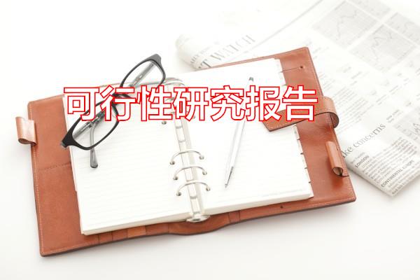 可行性研究报告专题范文