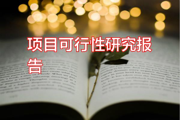 项目可行性研究报告专题范文