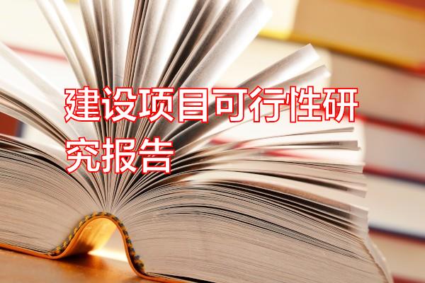 建设项目可行性研究报告专题范文