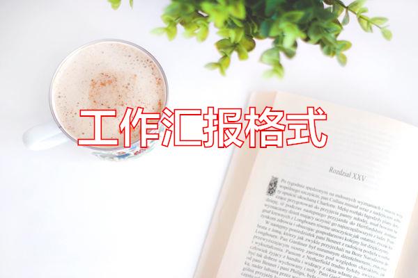 工作汇报格式专题范文