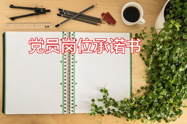 党员岗位承诺书专题范文
