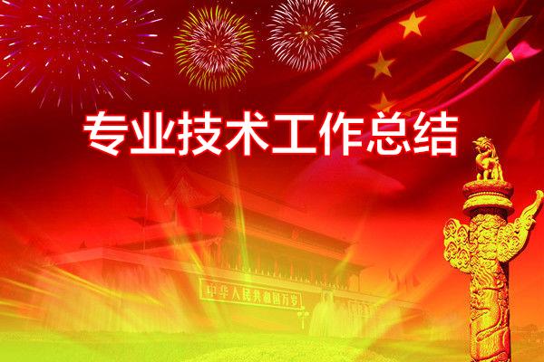 专业技术工作总结专题范文