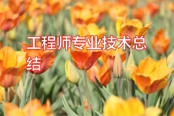 工程师专业技术总结专题范文