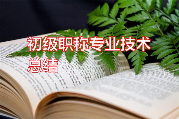 初级职称专业技术总结专题范文