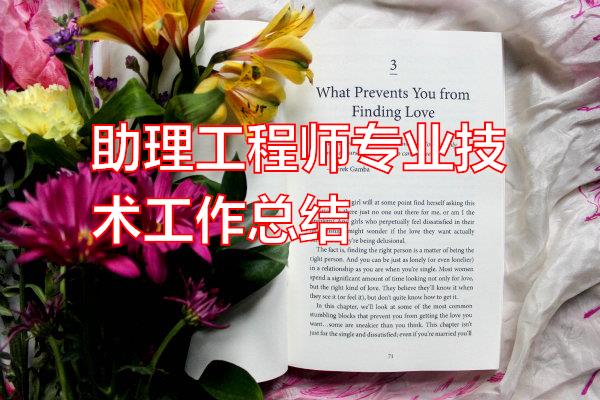助理工程师专业技术工作总结专题范文