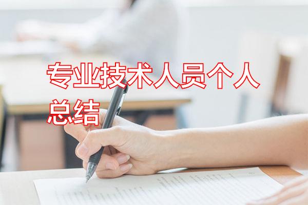 专业技术人员个人总结专题范文