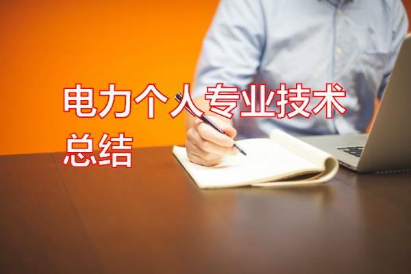 电力个人专业技术总结专题范文