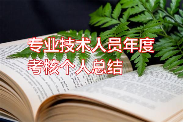 专业技术人员年度考核个人总结专题范文